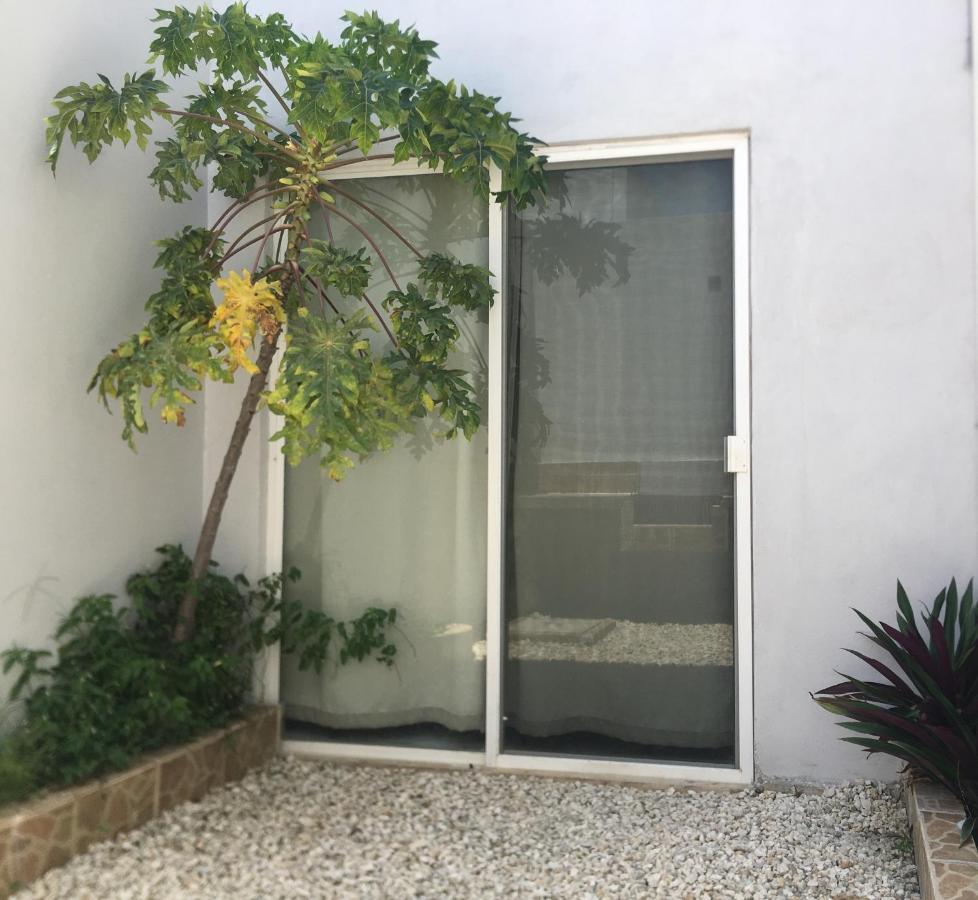 Green Lofts 坎昆 外观 照片